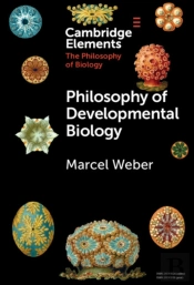 Philosophy Of Developmental Biology