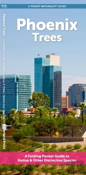 Phoenix Trees