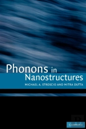 Phonons In Nanostructures