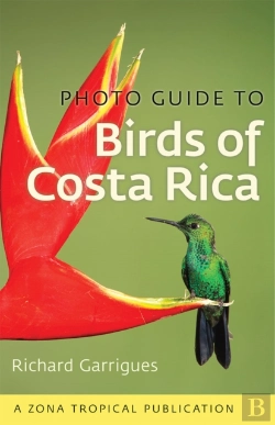 Bertrand.pt - Photo Guide To Birds Of Costa Rica
