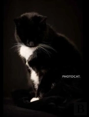 Photocat.