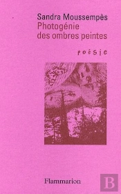 Photogénie Des Ombres Peintes
