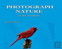 Photograph Nature