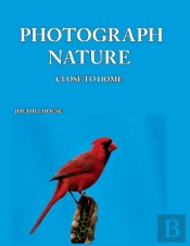 Photograph Nature
