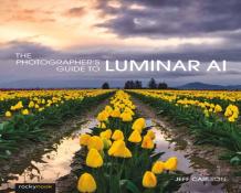 Photographer'S Guide To Luminar Ai,The