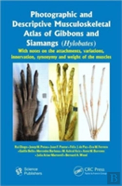 Bertrand.pt - Photographic And Descriptive Musculoskeletal Atlas Of Gibbons And Siamangs (Hylobates)