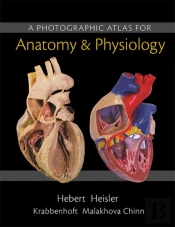 Photographic Atlas For Anatomy & Physiology, A