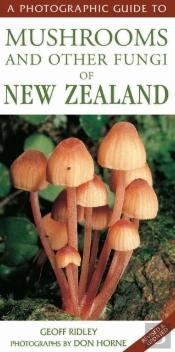Photographic Guide To Mushrooms & Other Fungi
