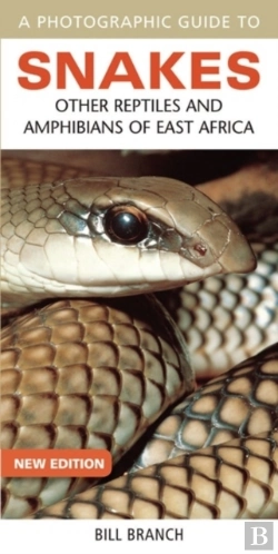Bertrand.pt - Photographic Guide To Snakes