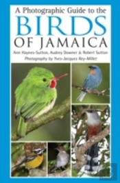 Photographic Guide To The Birds Of Jamaica