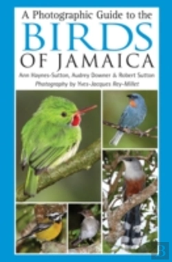 Bertrand.pt - Photographic Guide To The Birds Of Jamaica