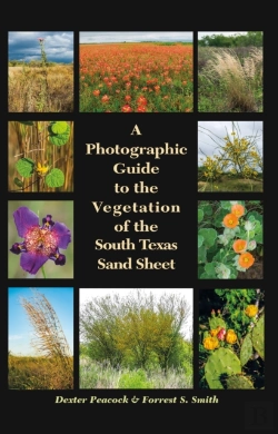Bertrand.pt - Photographic Guide To The Vegetation Of The South Texas Sand Sheet