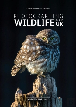 Bertrand.pt - Photographing Wildlife In The Uk - Photo-Location Guidebook