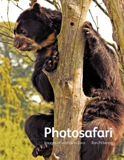 Bertrand.pt - Photosafari