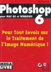 Photoshop 6 Pour Mac Os Et Windows ; Pour Tout Savoir Sur Le Traitement De L'Image Numerique