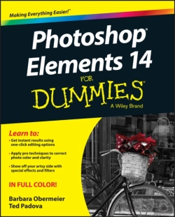 Bertrand.pt - Photoshop Elements 14 For Dummies