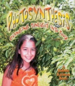 Bertrand.pt - Photosynthesis