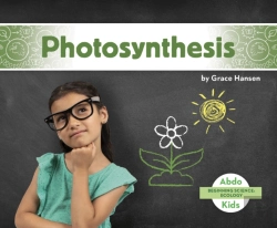 Bertrand.pt - Photosynthesis
