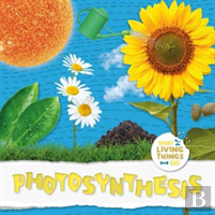 Photosynthesis