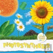 Photosynthesis