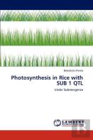 Photosynthesis In Rice With Sub 1 Qtl