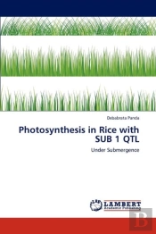 Photosynthesis In Rice With Sub 1 Qtl