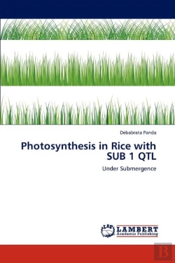 Bertrand.pt - Photosynthesis In Rice With Sub 1 Qtl