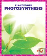 Photosynthesis