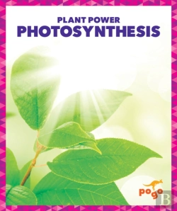 Bertrand.pt - Photosynthesis