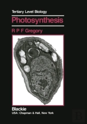 Photosynthesis