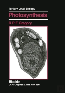 Bertrand.pt - Photosynthesis
