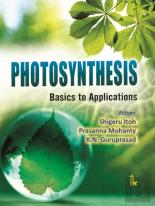 Photosynthesis