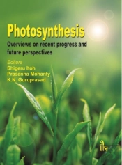 Photosynthesis