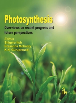 Bertrand.pt - Photosynthesis