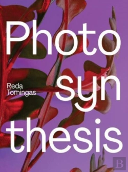 Bertrand.pt - Photosynthesis