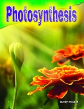 Photosynthesis