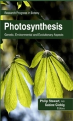Bertrand.pt - Photosynthesis