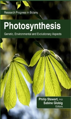 Bertrand.pt - Photosynthesis