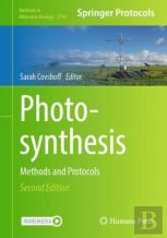 Photosynthesis
