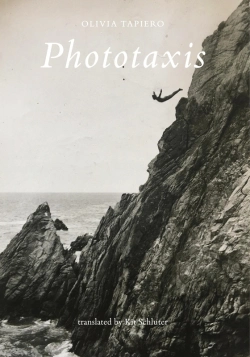 Bertrand.pt - Phototaxis