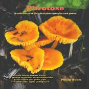 Phrotose
