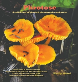 Bertrand.pt - Phrotose