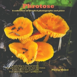 Bertrand.pt - Phrotose