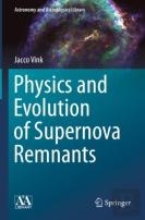 Physics And Evolution Of Supernova Remnants