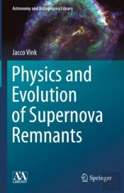 Physics And Evolution Of Supernova Remnants
