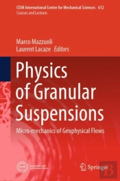 Physics Of Granular Suspensions