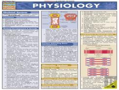 Physiology