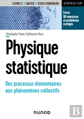 Physique Statistique ; Des Processus Élémentaires Aux Phénomènes Collectifs