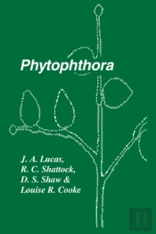Phytophthora