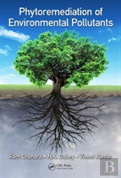 Phytoremediation Of Environmental Pollutants
